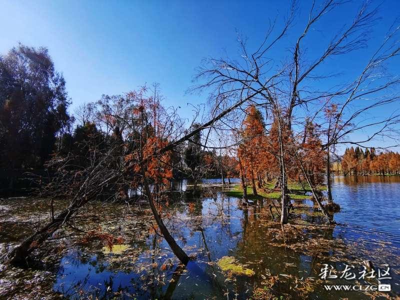 探索知识星球平台,近日美国国务院取消全球旅行警告,他们疫情没事了?引领未来智慧分享